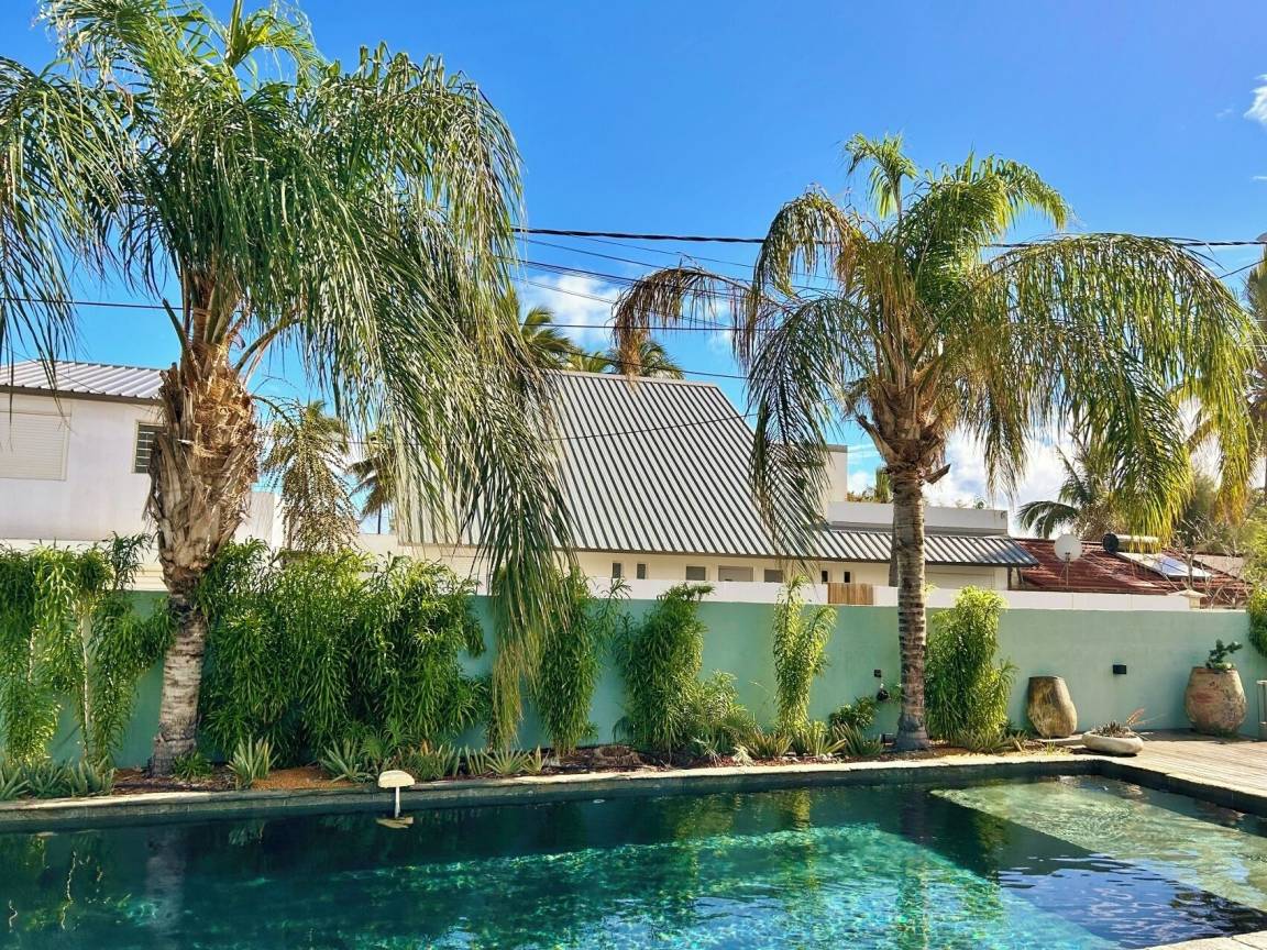 Jardin tropical clos de la villa